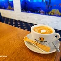 Străjerii Cetății, hotel u gradu 'Târgu Neamț'