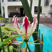 Serenity Place Garden View, hotell i Westville i Durban
