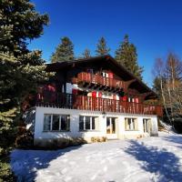 Superbe chalet vue panoramique à 2 pas des pistes