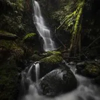 The Source, Otways, hotel en Tanybryn