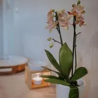 Lavender BnB、イースト・ロンドンのホテル