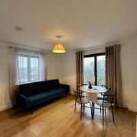 City Pulse Apartment, hotel in zona Aeroporto di Waterford - WAT, Waterford