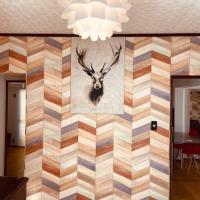 sonic apartment annex 201 ワンちゃん同伴可　４名様まで同一価格