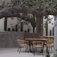 Ventonorte, hotel din La Ventana