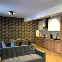 Apartament Brązowy 12/1, hotel di Starogard Gdański