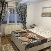 Apartament în regim hotelier familie, отель в Ватра-Дорнее