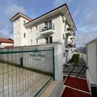 PARC PINI RESORT, ξενοδοχείο σε Moineşti