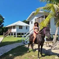 Horse Cottage, hotel di Sarteneja
