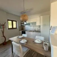 Studio Apartman Nika, готель у місті Вишнян