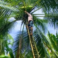 Ben Tre में, होटल Coco Happy Farm