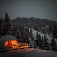 Cazare Dom Pensiuni Vatra Dornei Bucovina cu Ciubar, hotel di Iacobeni