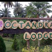 Octandra Lodge, hotel Mattala Rajapaksa International Airport - HRI környékén Suriyawewa városában