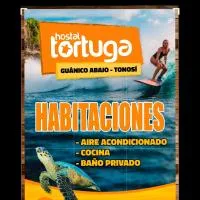 Tortuga Hostal, hotel i Pedregal