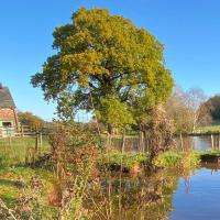 Oaklands Cottage on a rural farm