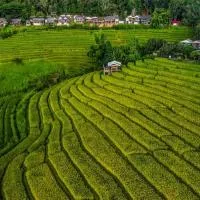 บ้านพักชิปู ป่าบงเปียง, отель в городе Ban Mae Pan Noi