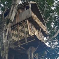 Glowing Mountain view tree house, hotel berdekatan Lapangan Terbang Tanna - TAH, Loanengo