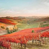 Agriturismo OPERA02 โรงแรมในกาสเตลเวโตร ดิ โมเดนา