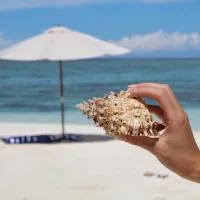 Viesnīca MAMELLO Beach Club Maldives pilsētā Feridhoo