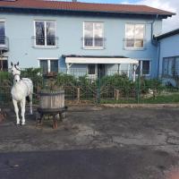 Große 3 Zi Wohnung auf der Pferde Farm, hotel Feketeerdő repülőtér (Schwarzwaldflughafen) - LHA környékén Lahr-Dinglingen városában