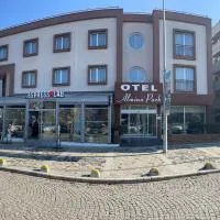 Hotel Almina Park, hotell i Duzce