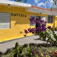 Gavidias Guest House, hotell i San Lorenzo