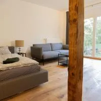 Loft Apartment mit großer Badewanne A, отель в городе Mügeln