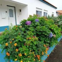 Apartamento da Matilde, hotel a Santa Cruz das Flores