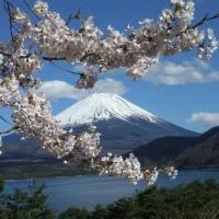 本栖湖畔 民宿 浩庵 Kouan guesthouse at Lake Motosu, hotel em Fujikawaguchiko