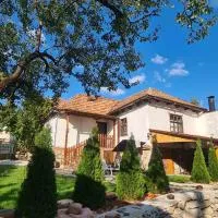Viesnīca Vila Antić pilsētā Pirota
