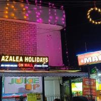 Azalea Holidays On Mall