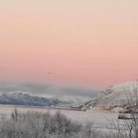 Austertanakrystallen by Pure Lifestyle Arctic, hotel i nærheden af Båtsfjord Lufthavn - BJF, Tana