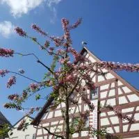 Appartement am Stadtmuseum - ruhig und zentral gelegen, hotel u gradu 'Bad Saulgau'