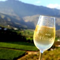 Mymering Wine & Guest Estate, hotell i Ladismith