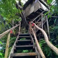 Castle Tree House And Bungalow, hotel i White Sands