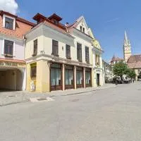 Hotel Traube, khách sạn ở Mediaş