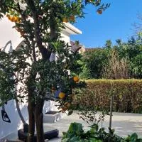 DOWNTOWN GARDEN, hotel a Lovište
