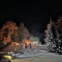 BowLakeHouse - Lakefront Cottage with Beach, hotel em Bancroft