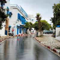 Beautiful studio in the center of sidi bou said village