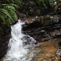 Finca Makambu、Platanilloのホテル
