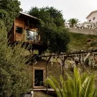 Boskenvid Hotel - Romantic Treehouses & Skypool, ξενοδοχείο σε Valle de Guadalupe