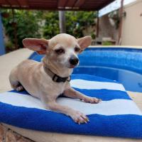 Casa Sol y Luna with pool in Merida Yuc