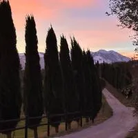 Agriturismo La Masseria - La casa tra gli alberi, hotel en Cugnoli