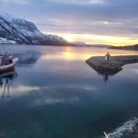 Arctic Sealodge Malangen cabin 4 Sæterbergan