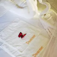 Dreamer Resort، فندق في سان فيسنتي