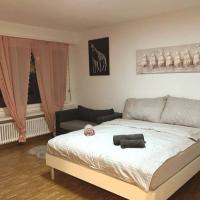 Newly 1.5 rooms furnished apartment @ Dübendorf