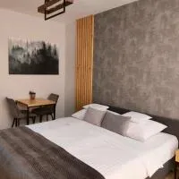 Zasankowe Wzgórze, hotel u gradu 'Zasań'