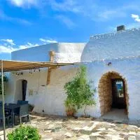 Pajara alle macchie, hotel en Torre Vado