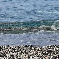 Framura में, होटल Appartamento a 100 metri dal mare