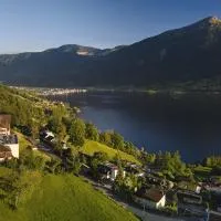 Zentrum Elisabeth - convalescent hotel, Kurhotel, hotel em Walchwil