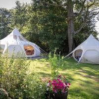 Andromeda: Luxe Glamping Oasis